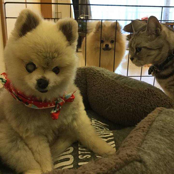 Dd9c0d91 6356 402a b014 0656e6d8b81e 1512515344779