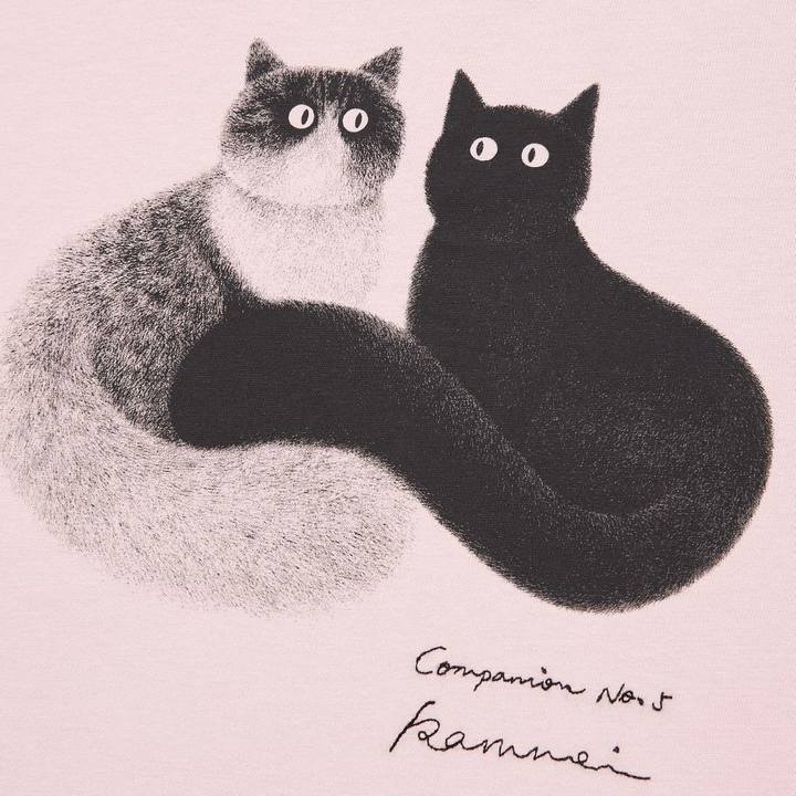 Dd9c2c4d 6b02 46df a625 f72bf11b1e8f 1652439029151