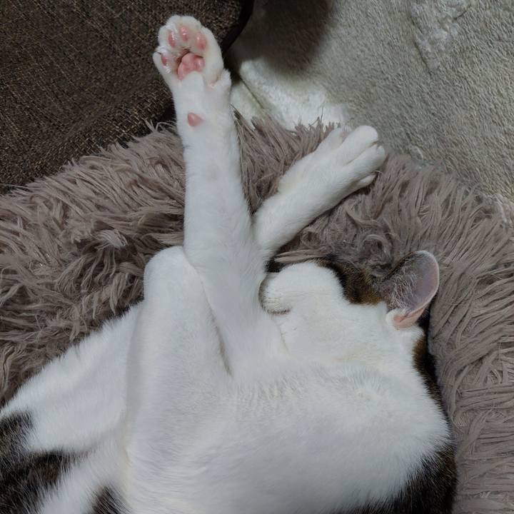 Dd9c71c8 6bf3 4a7b a92b 5f499d0980a9 1732957515435