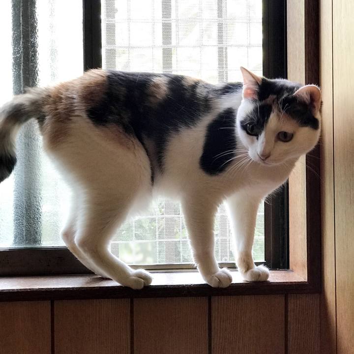 Dd9c8eac 7252 4209 be61 f675ca4293a0 1533825623175