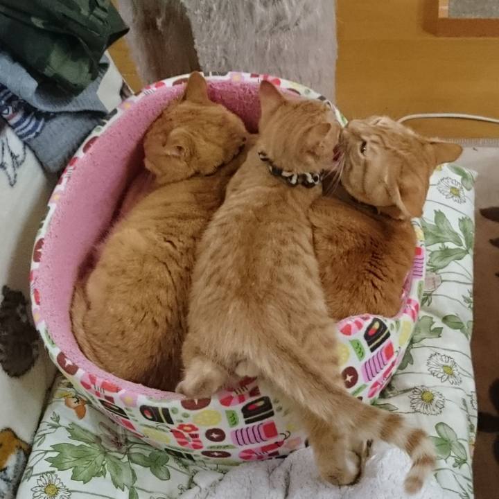 Dd9cb89b c047 4246 9c0c a2f0b9316924 1580294199472