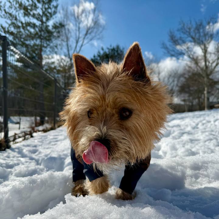 Dd9cc5a0 aec7 4910 b481 bf7b367484f0 1768573104657