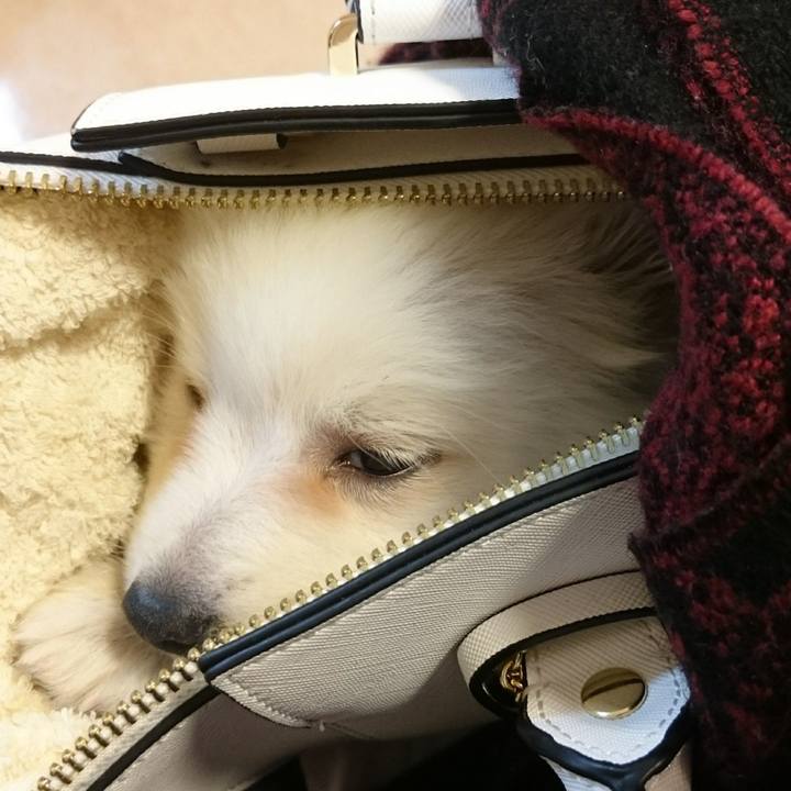 Dd9cdfb2 e0fb 486a bf4b 2c2be0ccbe3b 1527746297212