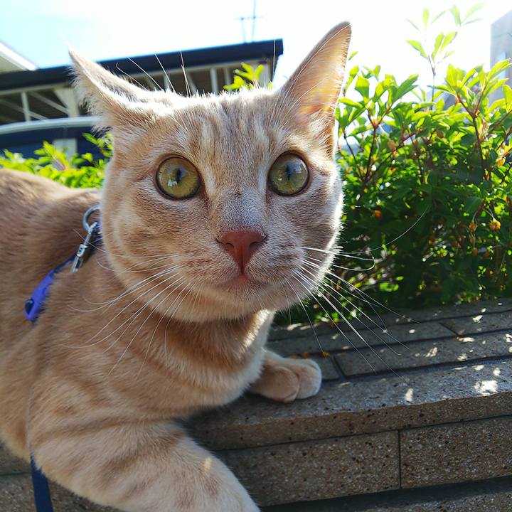 Dd9d12fa 2bd9 4fa5 b73c 766fc27914c7 1559520741298