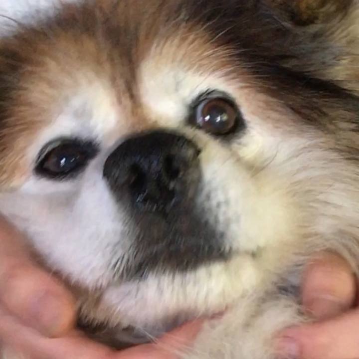 Dd9d218c 7fb0 498a a6ea 40cf36382273 1584812376524