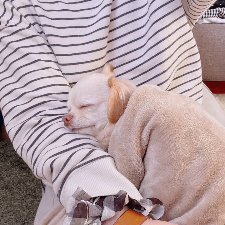 Dd9d6b30 3847 4406 9609 f7b778fc741c 1678674182555