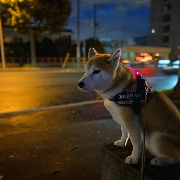 Dd9d70b0 bd59 4a84 be8a a94ba8efc95f 1633170344775