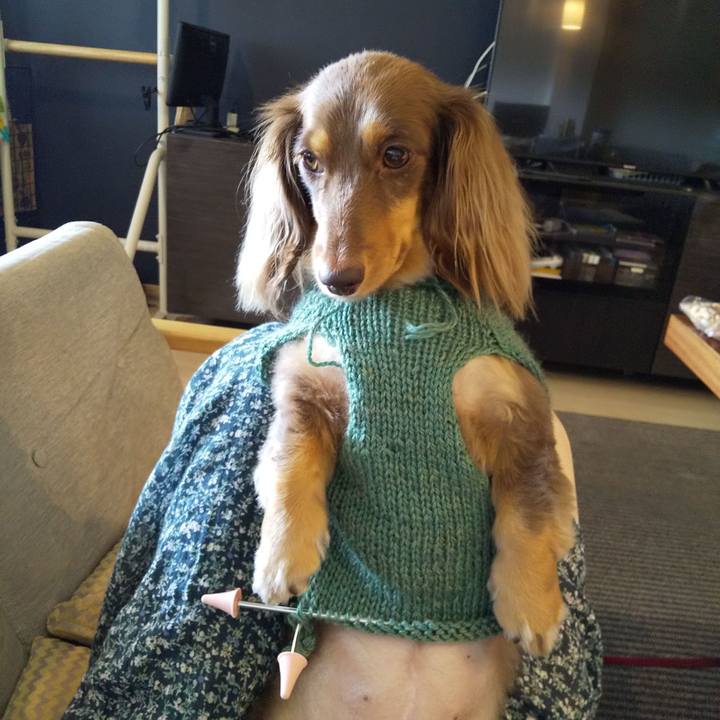 Dd9d71bc 49d9 4b68 880c 3b828073be16 1569906588362