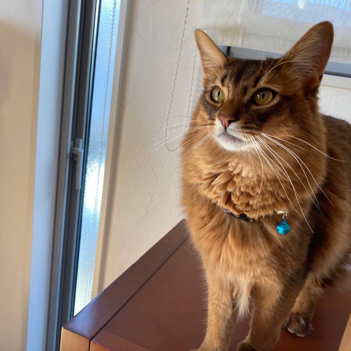 Dd9db5cf fa3e 43c5 b49e a06741374dd4 1614400301660