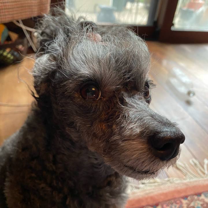 Dd9db90c d3d8 4db7 9190 568644afd7a8 1757570669892