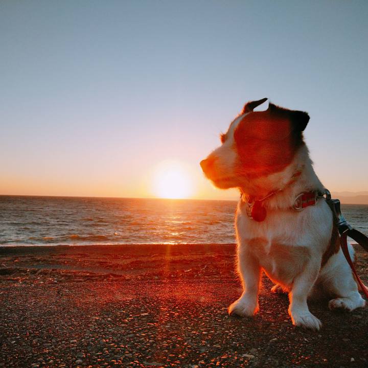 Dd9db974 f2f8 4417 bf43 172985ce4000 1540629037421