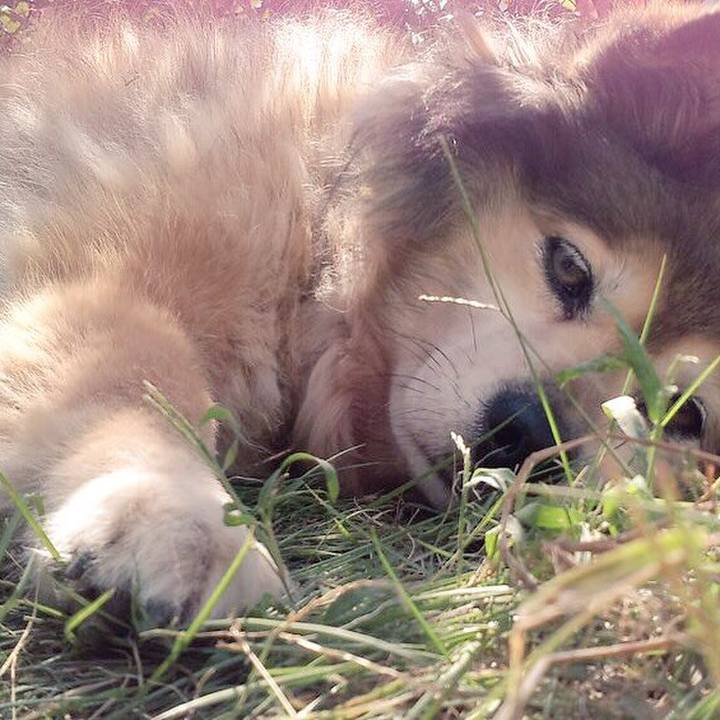 Dd9e1459 7ebf 49c1 8ff6 8c52f3b8dab1 1550965505553