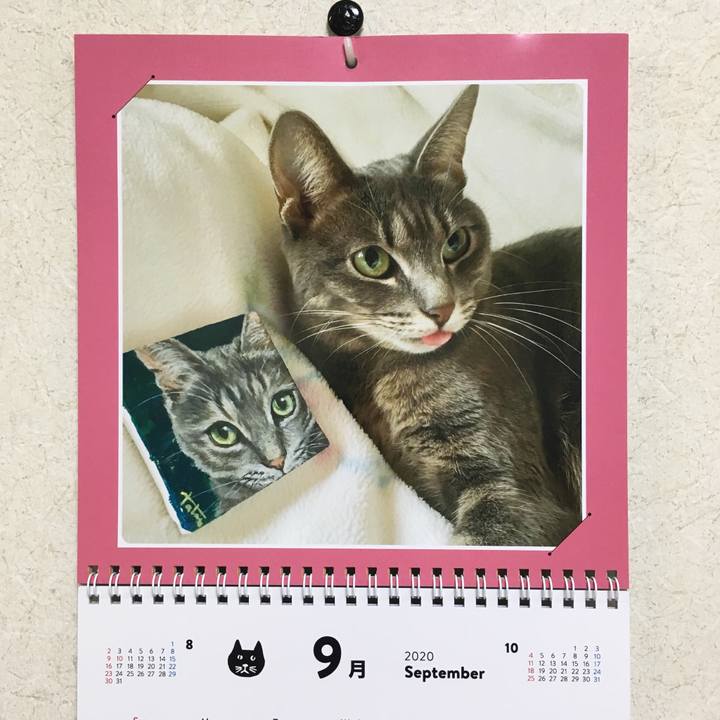 Dd9e46e2 7f20 4529 960e 59471deeeb9a 1599007627584