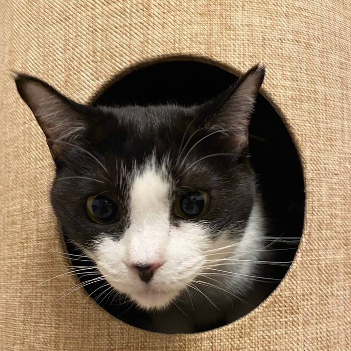 Dd9e4f2b 9d5e 4a14 9615 0a331b173067 1716555828325