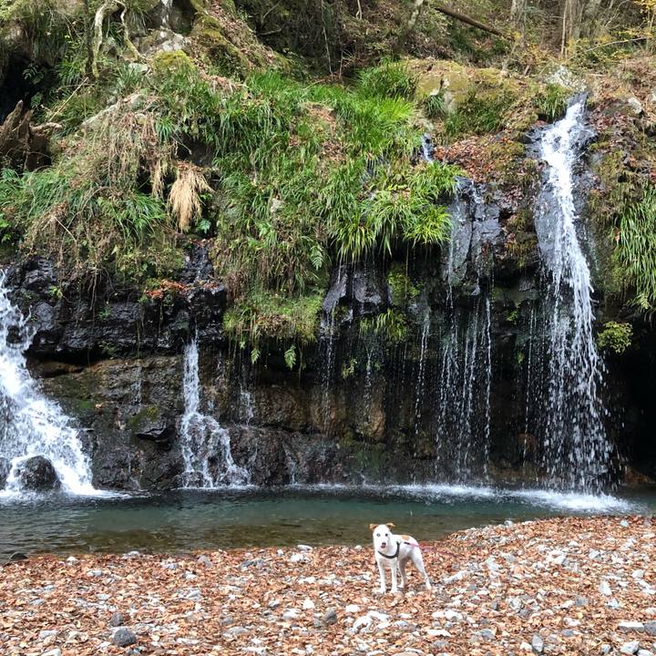 Dd9eba37 eba9 4d3f a193 45dc60d794e7 1511703328968