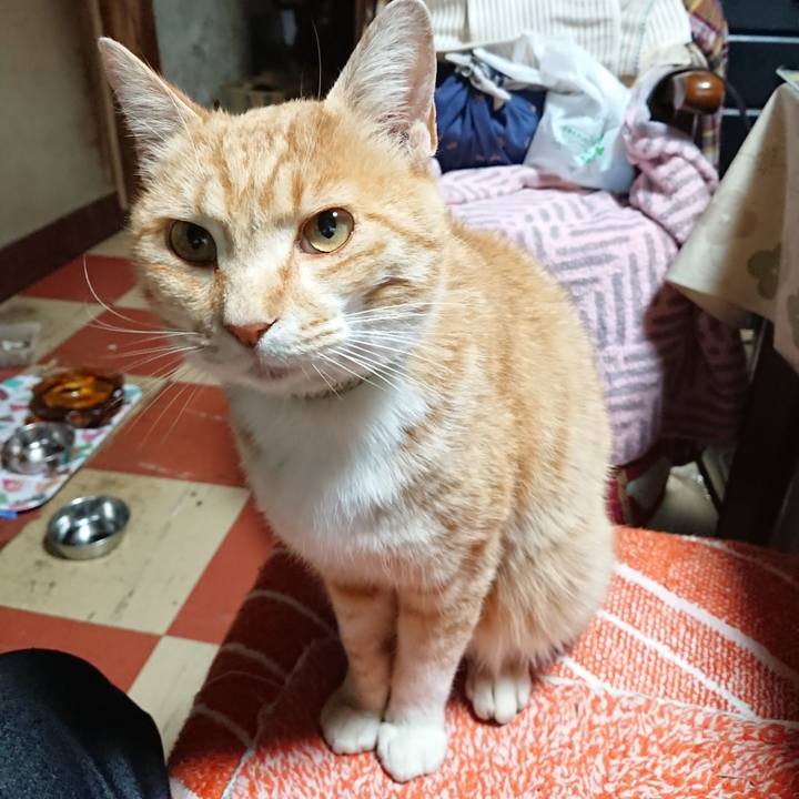 Dd9edea7 48a5 440b 8c22 1ac4f825f7d0 1589956369216