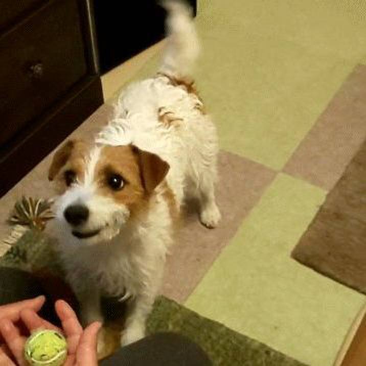 Dd9eeb21 f6e7 420c ae9a be87dc8fa92c 1555592083454