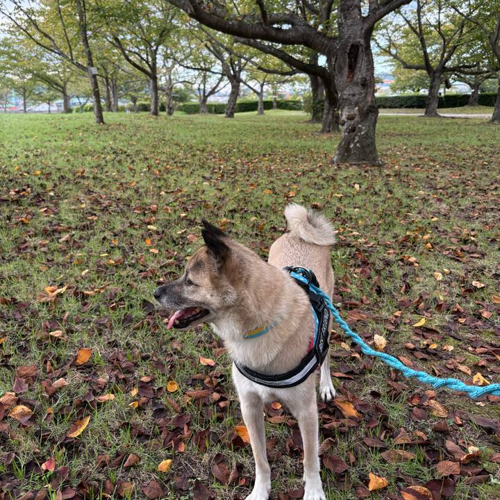 Dd9f06f1 b6f3 40da 8cba eae98df36239 1758969824414