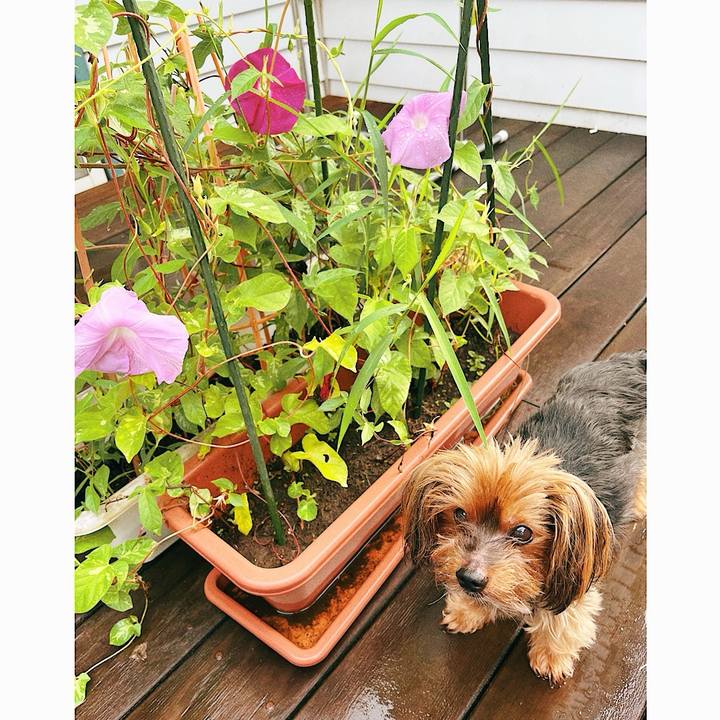 Dd9f0819 0b26 4218 9f13 77d91dd71094 1724713079400