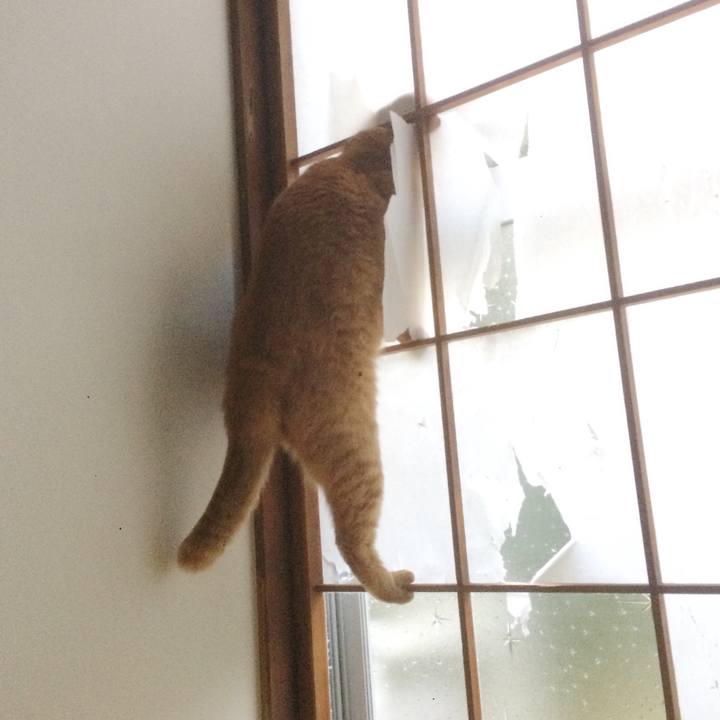 Dd9f190b 70e5 46f0 81ad 25c7d77fb05e 1583733611555