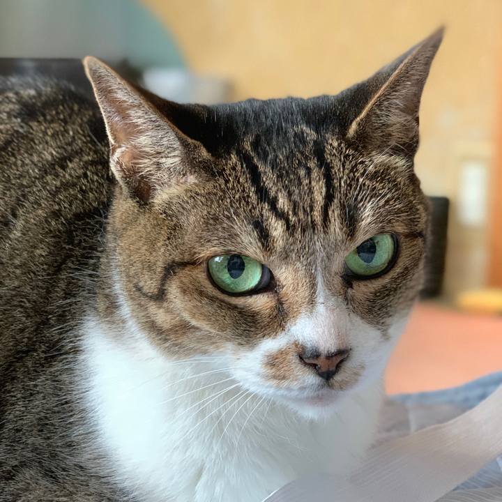 Dd9f262b 7e71 42b3 94c9 745201cd2a74 1601947398147