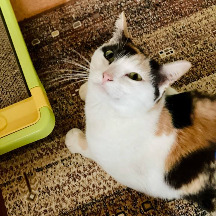 Dd9f27aa 1b2a 4ed9 b60a b05da7163f5b 1623555038536