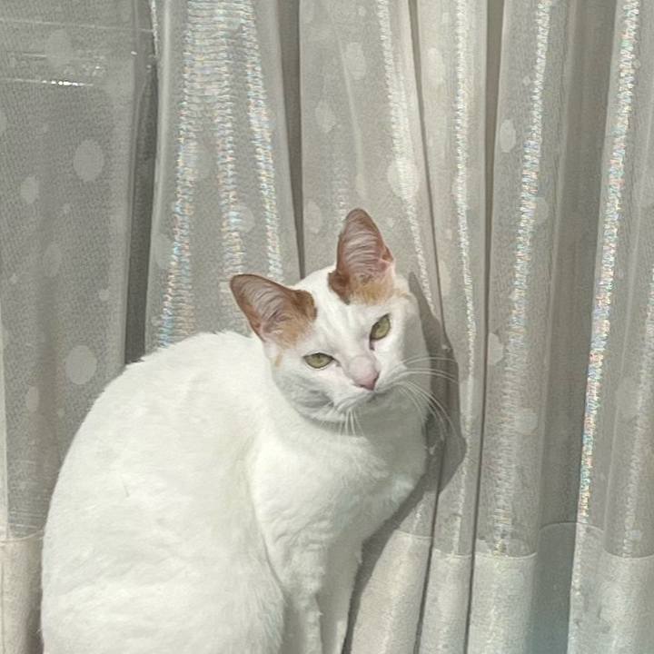 Dd9f3f9c 4ee4 42c2 b5b3 140c0383457f 1772976593757