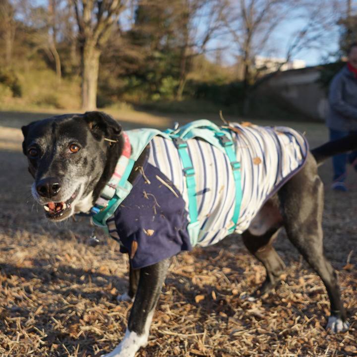 Dd9f431a c70a 498b ba45 99c479488924 1769561643275