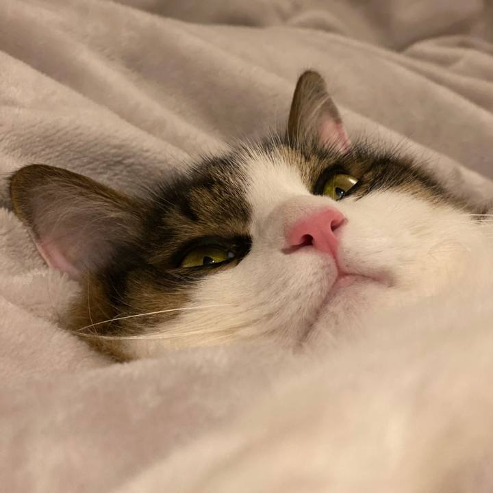 Dd9f49e1 2cf2 4a16 b449 4f6a52862a11 1581724316142