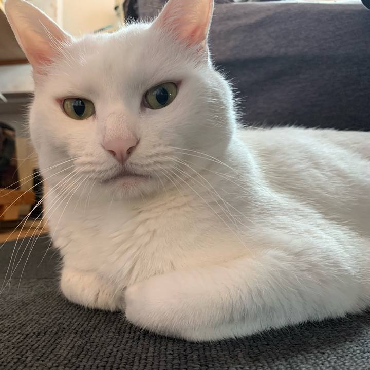 Dd9f7993 e980 4722 9825 50dd211dc321 1660374309253