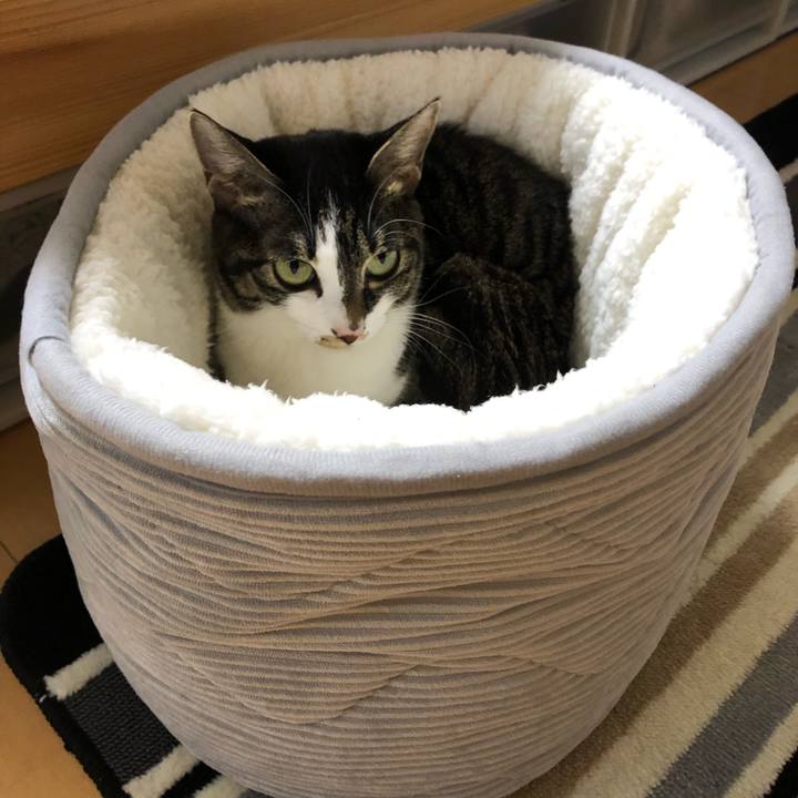 Dd9f9e21 6787 41ed 983a a7c2de07cdab 1577306770238