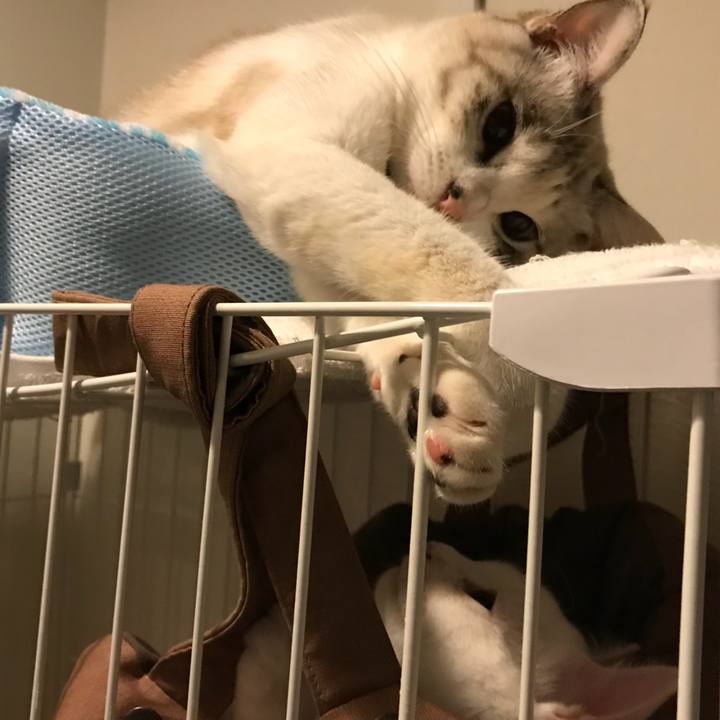 Dd9fa5a8 8f94 4d5e 8ad2 5d4dfb4b016d 1510318644864