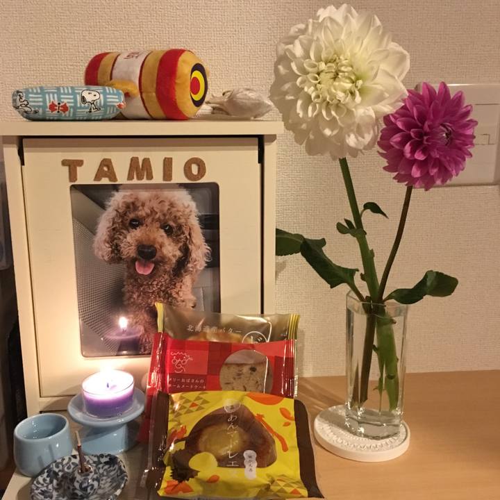 Dd9faab2 c0cb 4931 b8fc 3dd58c829eee 1599052747396