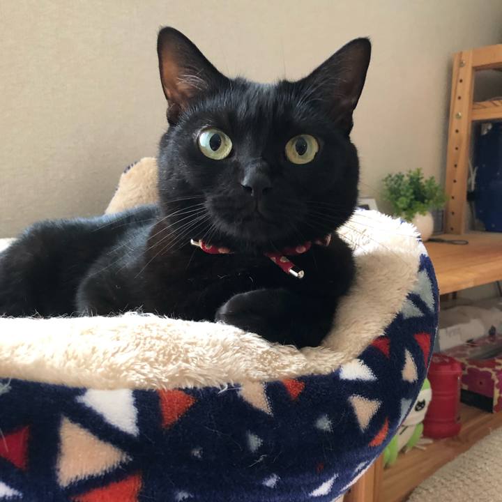 Dd9fb66b 5ff1 4426 b61d e76cc61fec81 1627941815786