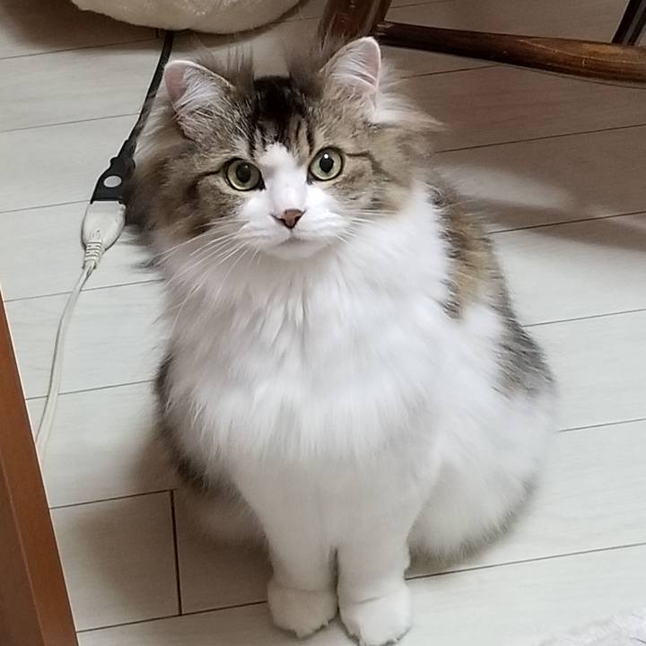 Dd9feb64 d878 4dbf b15f 01ce869d633c 1555967805993