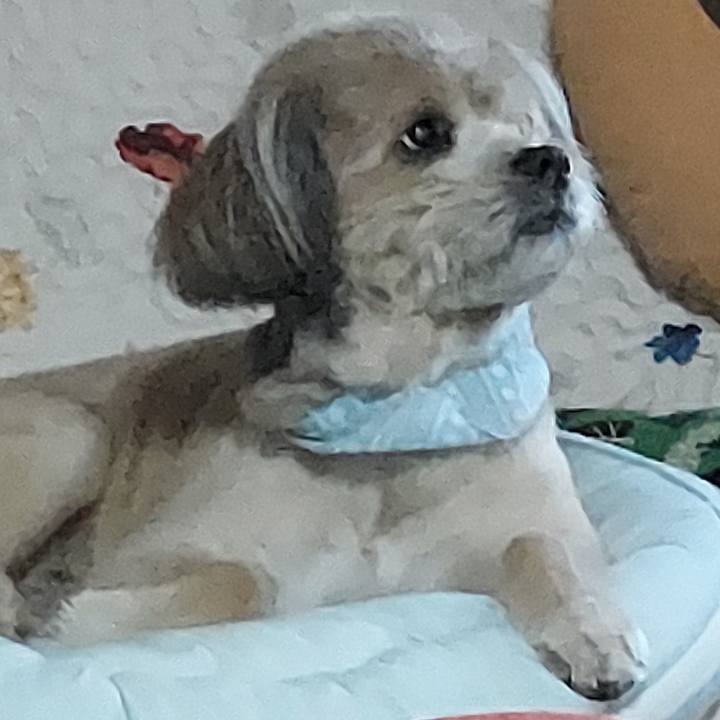 Dd9feea9 8ac5 4b7b 825b a5c7c458fa61 1623967606254