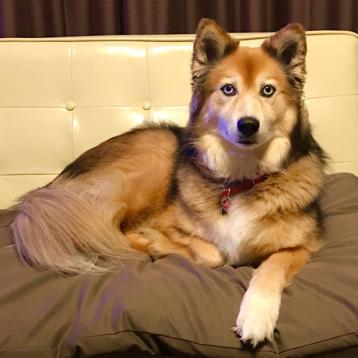 Dda008bc 54b1 4180 80a7 ba06a576e494 1580551330737