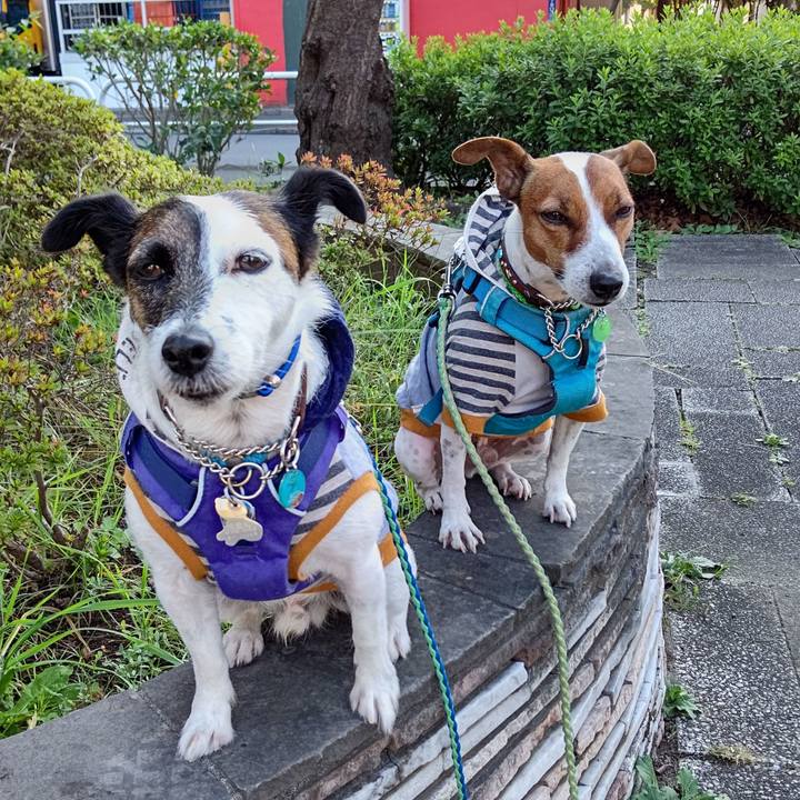 Dda0099a b6a8 44f0 bf84 b2170d38575d 1635898342044