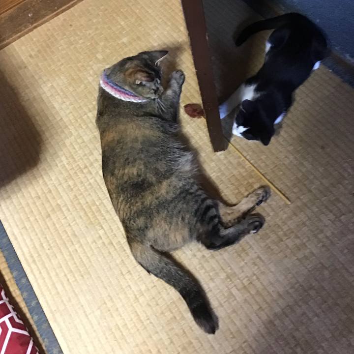 Dda01f3f f316 47b6 bc23 ba3be31bee61 1626601775696