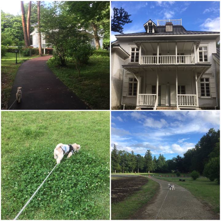 Dda022e7 189d 41c8 9418 96b406f61cbd 1560729803977