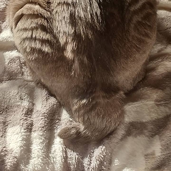 Dda0539f 4d40 4c2a 9514 d497449ad313 1609377505419