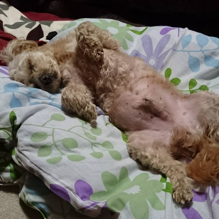 Dda05ce4 38e2 4b1b 8f36 dc0868f425b5 1616333655520