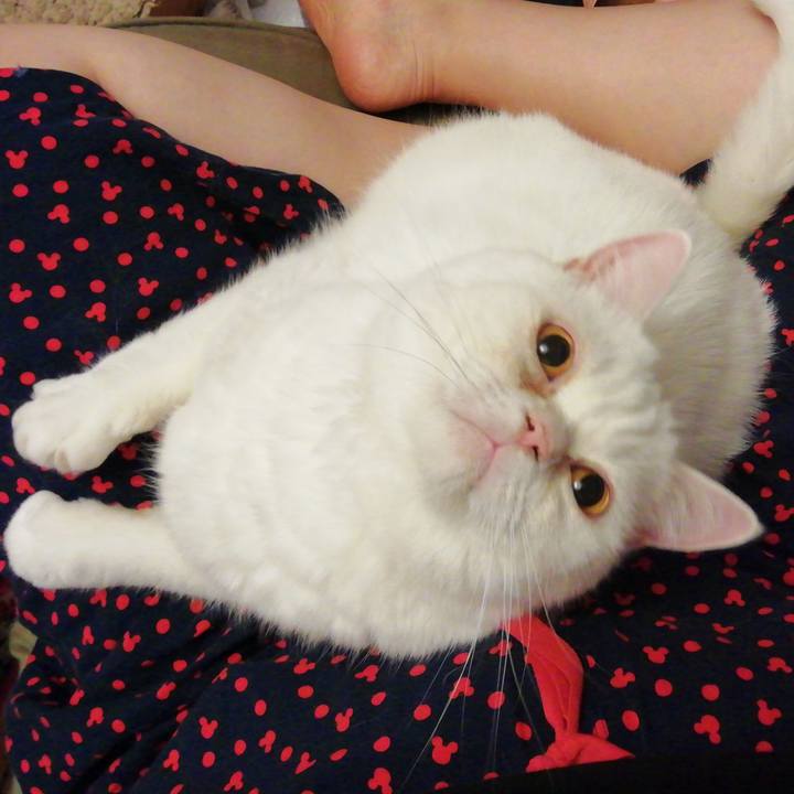 Dda078f9 bdb7 4594 9f3b 2a253cf2892a 1601676800570