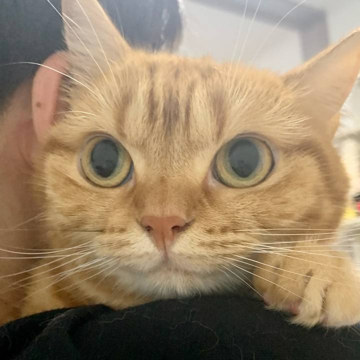 Dda09747 a8ae 4575 a60d dc8572e3982f 1626267891007