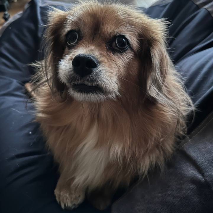 Dda0ad18 152e 4f54 b8a1 f536faf0031d 1763416803775