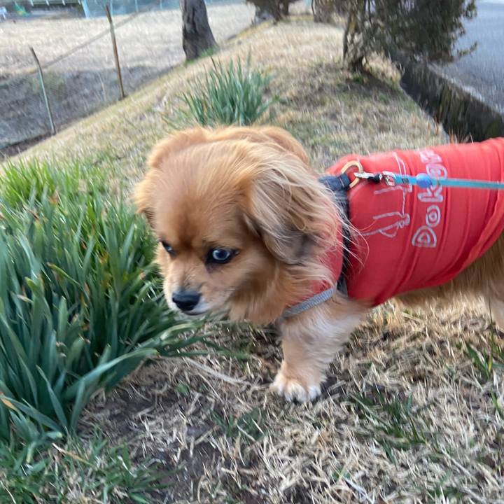 Dda0b207 4409 4d67 949c 93c840e33032 1614117451215