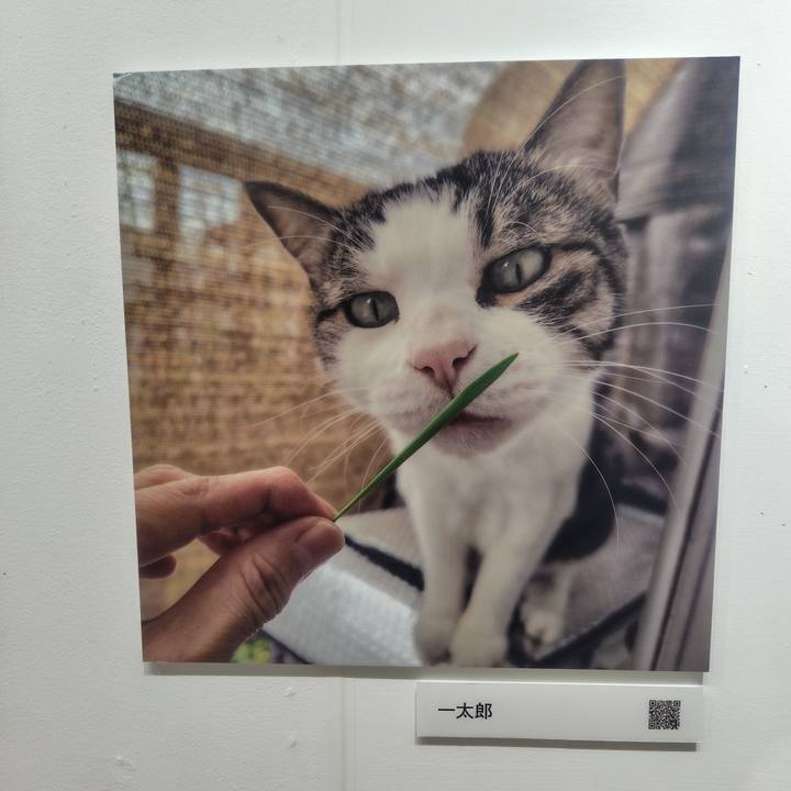 Dda0b3c3 8066 4253 92a7 8cc3b4893b7d 1762151828706