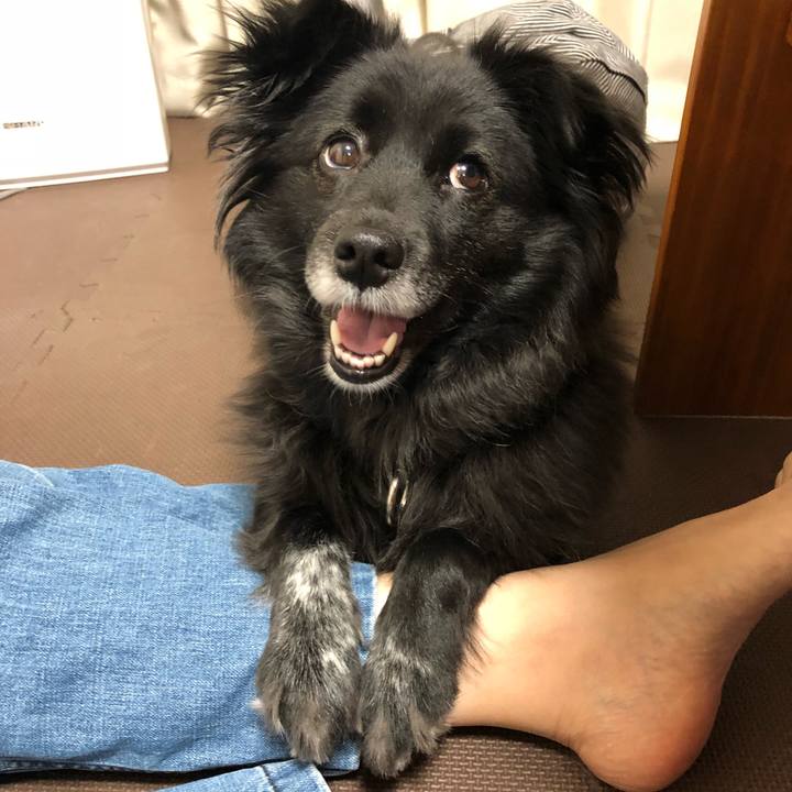 Dda11dff 4d1c 462e 9af7 73b7938d05e7 1521120314716