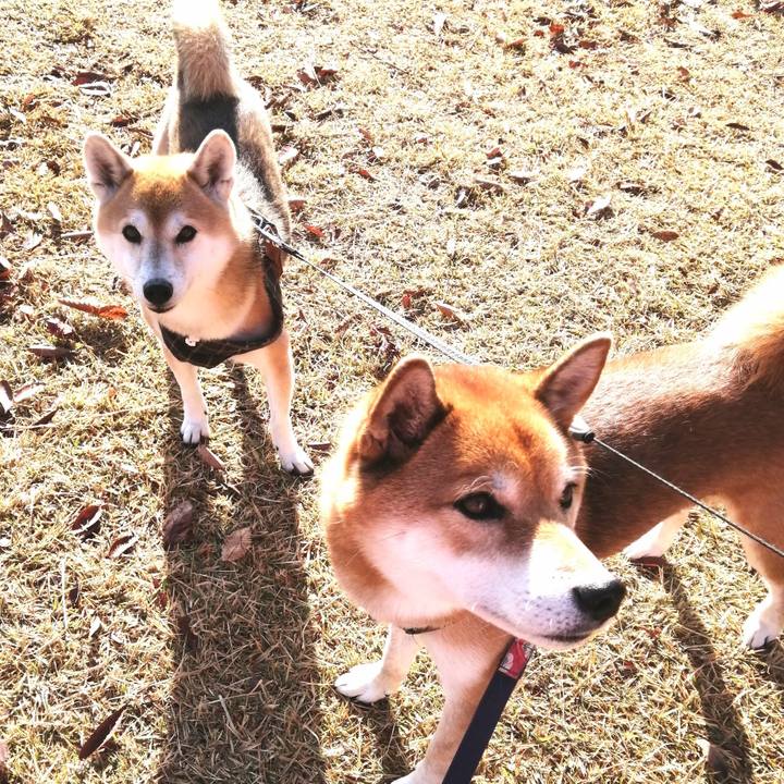 Dda151b0 5b9e 4343 b181 5241c27e4e08 1606696002258