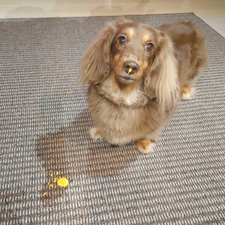 Dda16af2 8125 4216 8953 bf528705d7fc 1637677417968